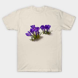 Crocus T-Shirt